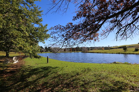 Eling Forest Winery - Accommodation NSW 1