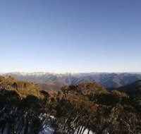 Elkhorn 7 - Accommodation NSW