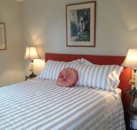 Every Man and His Dog Vineyard - Accommodation NSW