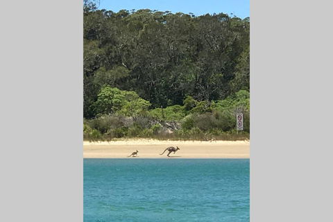 FAIRVIEW COTTAGE 25B - Waterfront Accommodation - Accommodation NSW 0