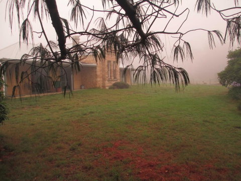 Ferndale B&B - Accommodation NSW 1