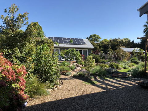 Fig Tree Cottage - Accommodation NSW 1