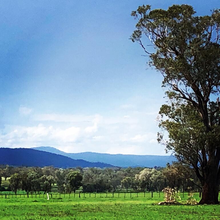 Timbumburi NSW Accommodation NSW