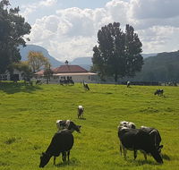 Glenmurray - Country farm stay - Accommodation NSW