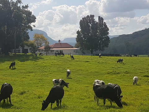 Glenmurray - Country Farm Stay! - Accommodation NSW 0
