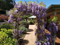 Gumtree House Montville