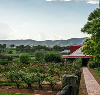 Hanging Tree Wines - Accommodation NSW