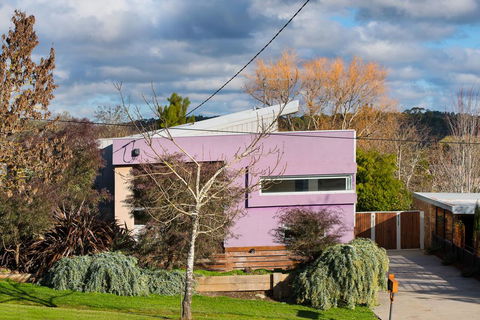 Harlequin - Accommodation NSW 2