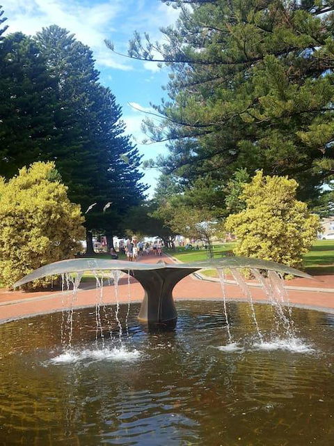 Hi 5 Luxury Holiday Apartments - Accommodation NSW 3