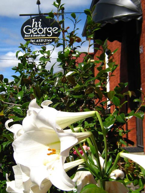 Hi George B&B - Accommodation NSW 1