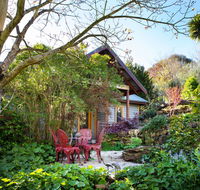Hills End Camellia - Accommodation NSW