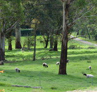 JAN'S ART STUDIO AT ASHBY RISE - Accommodation NSW