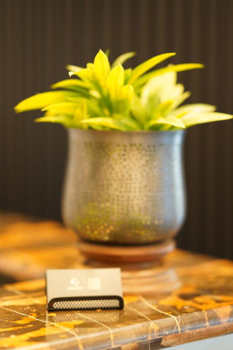 Jephson Hotel & Apartments - Accommodation NSW 3
