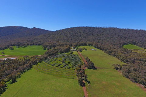 Jilba - Accommodation NSW 1