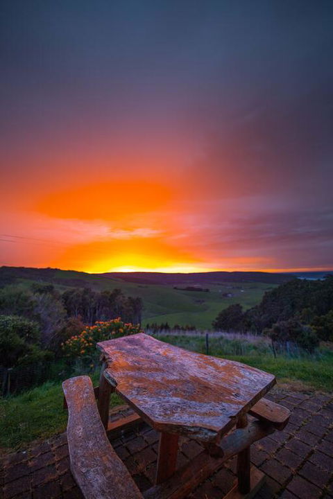 Johanna Bluegum Cabins - Accommodation NSW 3