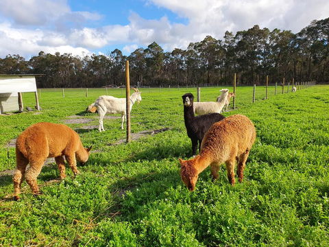 Kerriley Park FarmStay - Accommodation NSW 3
