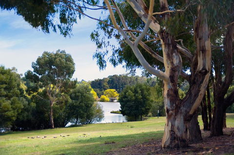 Lake Daylesford Lodge 4 - Accommodation NSW 1