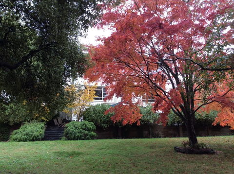 Lakeshore House, Daylesford - Accommodation NSW 2