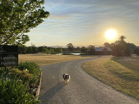 Lilies Luxury Retreats - Accommodation NSW 3