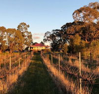 Lillicur Vineyard BB - Accommodation NSW