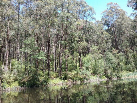 Lyrebird Gully Retreat - Accommodation NSW 2