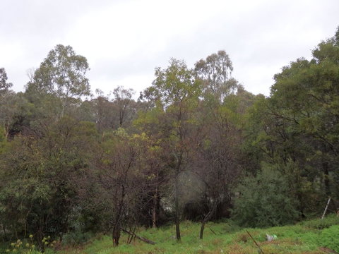 Mandall Avenue - Accommodation NSW 2