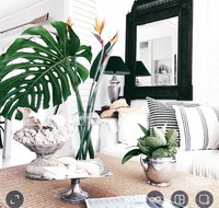Manly Beach Retreat - Accommodation NSW