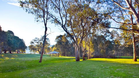Mansfield Country Resort - Accommodation NSW 1