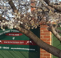 Mansfield Travellers Lodge - Accommodation NSW