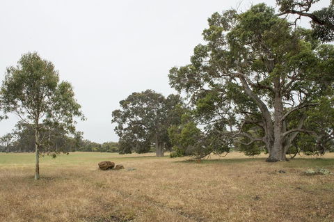 Metricup House - Elegant Country Retreat - Accommodation NSW 2