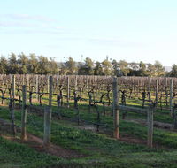 Milawa Vineyard Views - Guesthouse 2 - Accommodation NSW