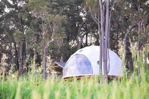 Mile End Glamping Pty Ltd - Accommodation NSW 2