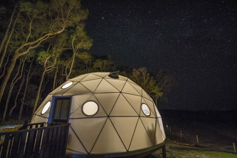 Mile End Glamping Pty Ltd - Accommodation NSW 3