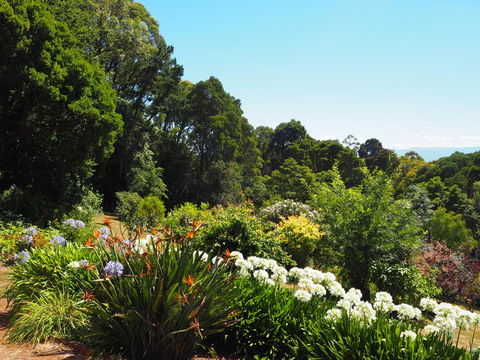 Murrindindi - Accommodation NSW 0