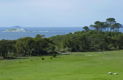 Cosy Corner Sea View Apartments - Accommodation NSW 7