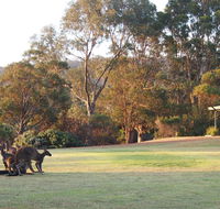 Riverside Retreat Chalets Walpole - Accommodation NSW
