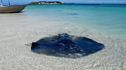 Turner Brook Chalet - Accommodation NSW 3