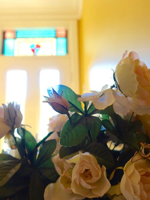 The Blacksmiths Cottage - Accommodation NSW 16