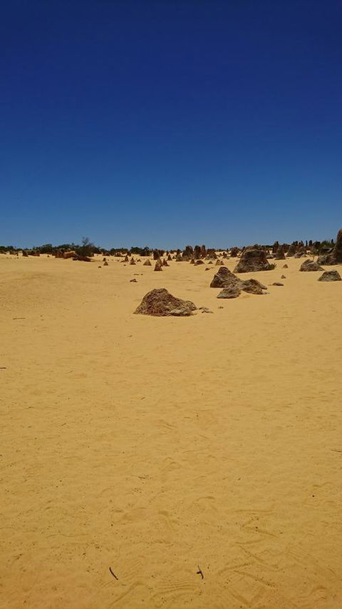 The Bothy Lancelin Family Retreat - Accommodation NSW 35