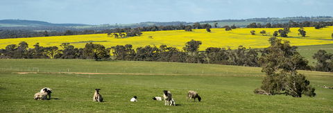 Kendenup Cottages And Lodge - Accommodation NSW 44