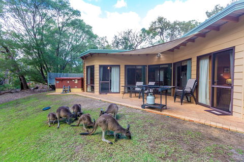 Yelverton Brook Conservation Sanctuary - Accommodation NSW 18
