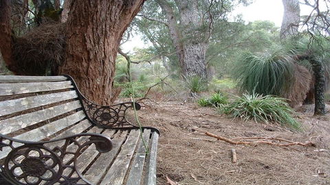 Yelverton Brook Conservation Sanctuary - Accommodation NSW 42
