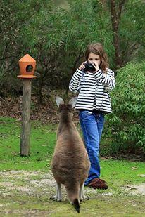 Yelverton Brook Conservation Sanctuary - Accommodation NSW 39