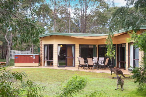 Yelverton Brook Conservation Sanctuary - Accommodation NSW 20