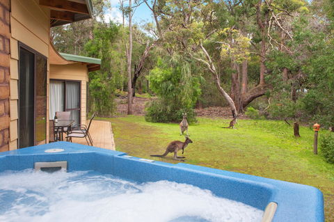 Yelverton Brook Conservation Sanctuary - Accommodation NSW 9