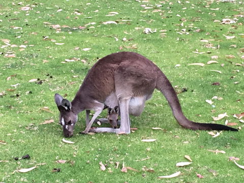 Tegwan's Nest Holiday Home - Accommodation NSW 1