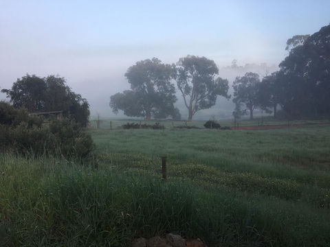 Tegwan's Nest Holiday Home - Accommodation NSW 29