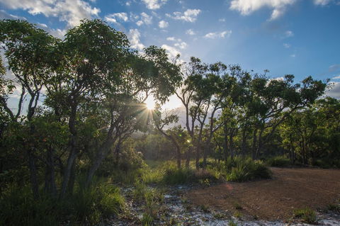 Cape Howe Cottages - Accommodation NSW 1