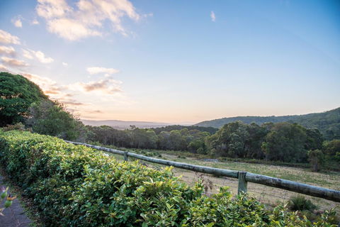Cape Howe Cottages - Accommodation NSW 29
