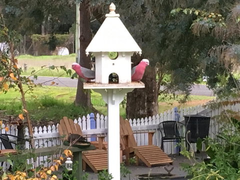 Applegate Lane Chalet - Accommodation NSW 25